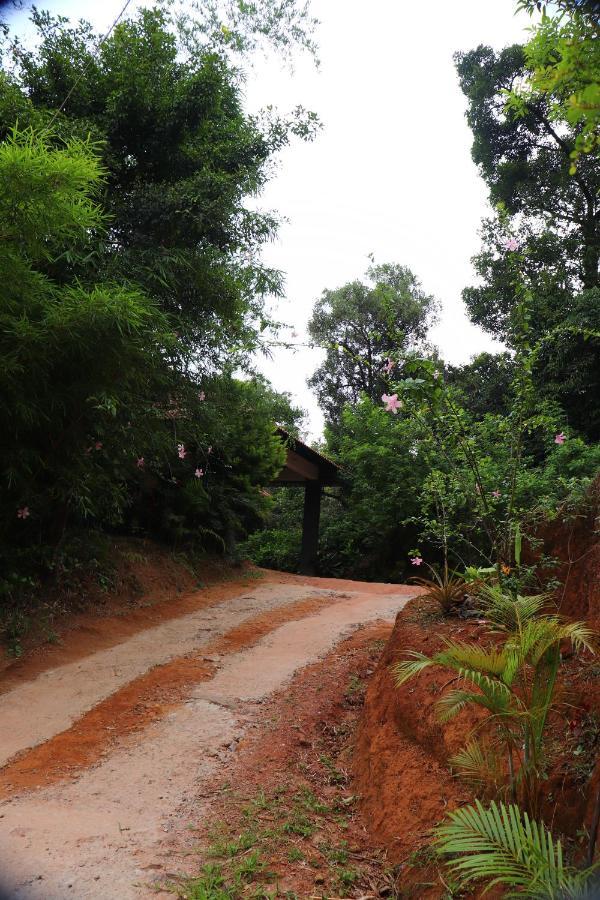 Homestay Coorg Nature Breeze *