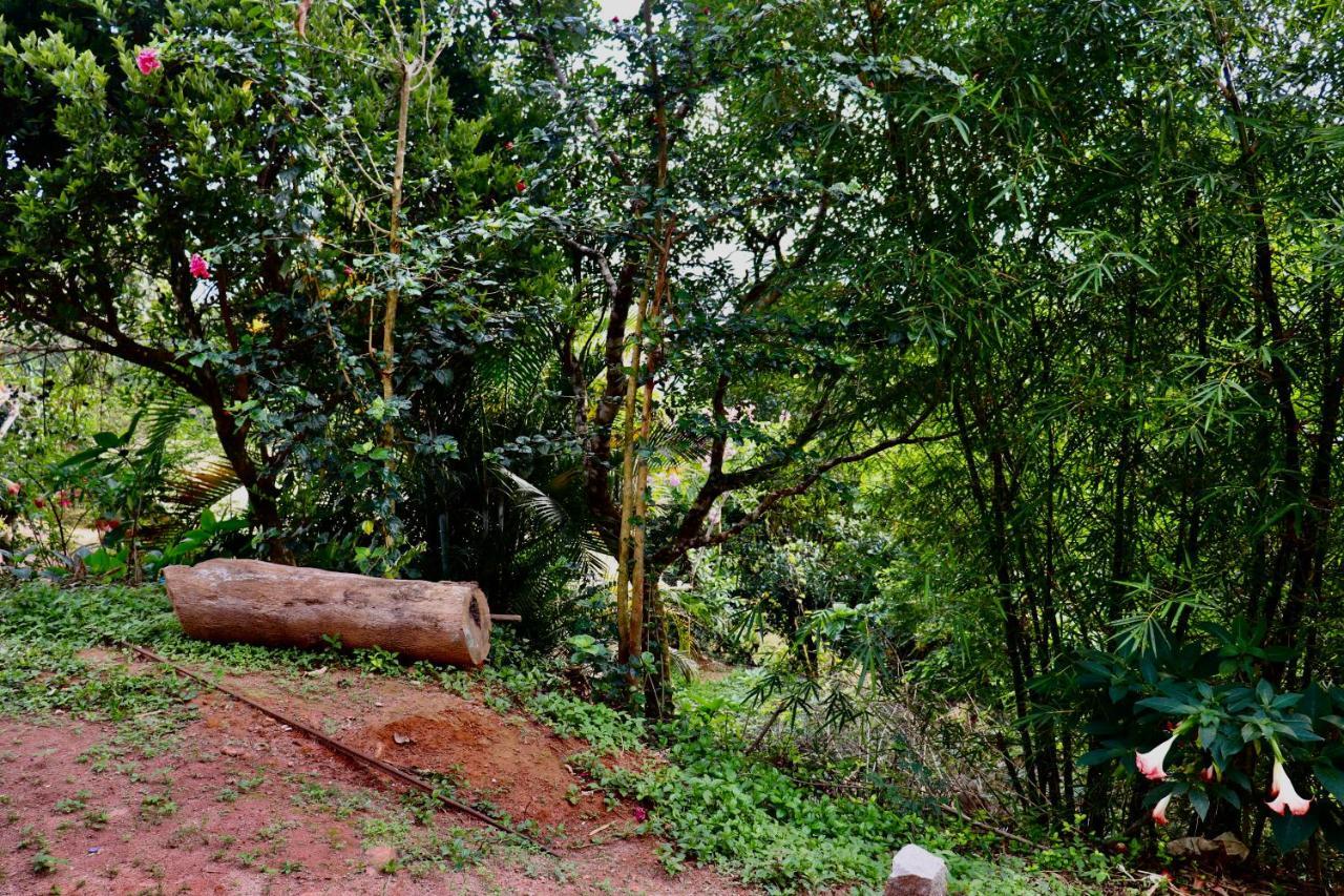 Homestay Coorg Nature Breeze